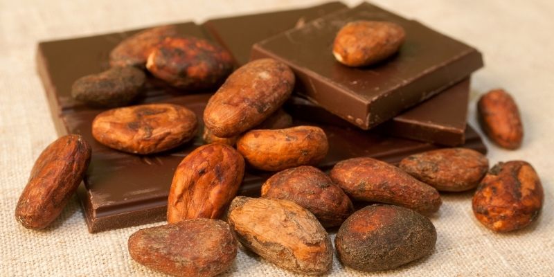 Does Chocolate Come From Cocoa Beans