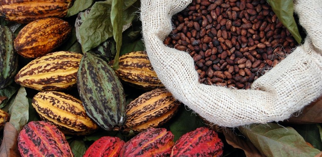 cocoa beans